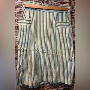 Striped Green and Blue Women's Skirt